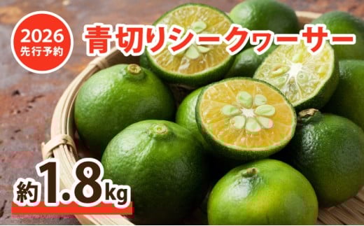 2026年 先行予約 青切り シークワーサー 約1.8kg ★西表島ふる～つらんど★ 果物 フルーツ お届け：2026年8月上旬～10月下旬（収穫でき次第順次発送）