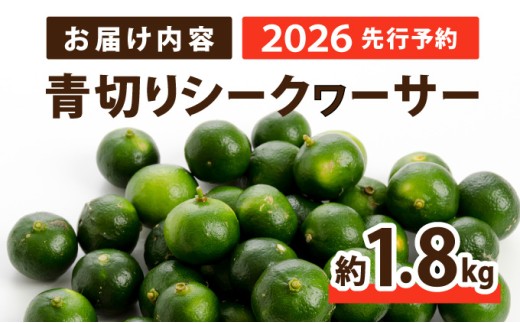 2026年 先行予約 青切り シークワーサー 約1.8kg ★西表島ふる～つらんど★ 果物 フルーツ お届け：2026年8月上旬～10月下旬（収穫でき次第順次発送）