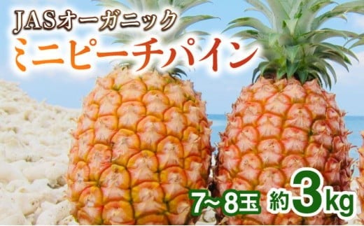 2026年 先行予約 パイナップル ついに実現!転換期間中 JASオーガニック ミニピーチ 3kg (7〜8玉) 果物 フルーツ