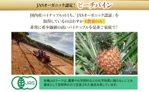 2026幎 å
è¡äºçŽ ãã€ãããã« ã€ãã«å®çŸïŒè»¢ææéäžãJASãªãŒã¬ãã㯠ããããŒã 3kg (7ïœ8ç) æç© ãã«ãŒã