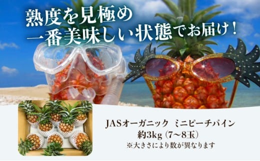 2026幎 å
è¡äºçŽ ãã€ãããã« ã€ãã«å®çŸïŒè»¢ææéäžãJASãªãŒã¬ãã㯠ããããŒã 3kg (7ïœ8ç) æç© ãã«ãŒã