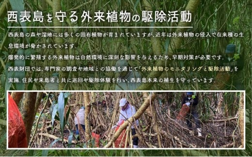 荳闊ャ雋。蝗」豕穂ココ隘ソ陦ィ雋。蝗」 諢溯ャ晉憾シ玖・ソ陦ィ蟲カ繝輔か繝医さ繝ウ繝繧ケ繝医瑚・ソ陦ィ蟲カ繧ォ繝ャ繝ウ繝繝シ縲堺サ