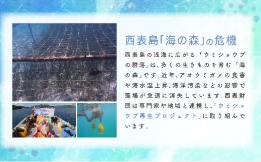 一般財団法人西表財団 感謝状＋西表島フォトコンテスト「西表島カレンダー」付