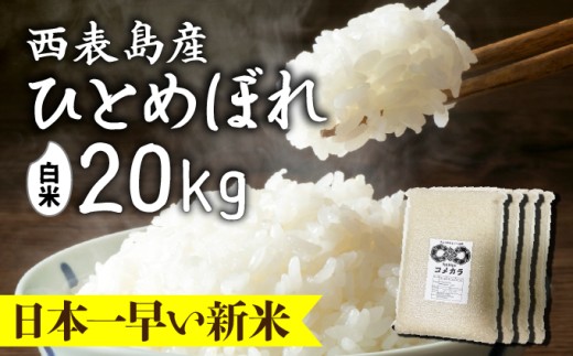 令和8年産の新米ひとめぼれ(白米)20kg【米・白米・新米・ひとめぼれ】