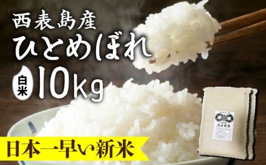 令和8年産の新米ひとめぼれ(白米)10kg【米・白米・新米・ひとめぼれ】