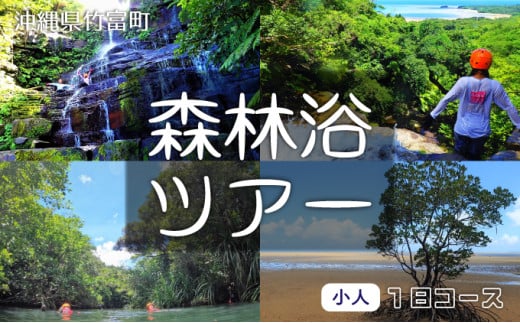 西表島 森林浴1日ツアー 小人1名分 【 旅行 体験チケット 西表島ツアー 大自然 体験ツアー 観光 沖縄 森林浴 アクティビティ】
