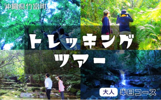 西表島 半日森林浴滝トレッキングツアー【体験可能期間:11月1日～4月30日】大人1名分【 旅行 体験チケット 西表島ツアー 大自然 体験ツアー 観光 沖縄 森林浴 滝 トレッキング アクティビティ】