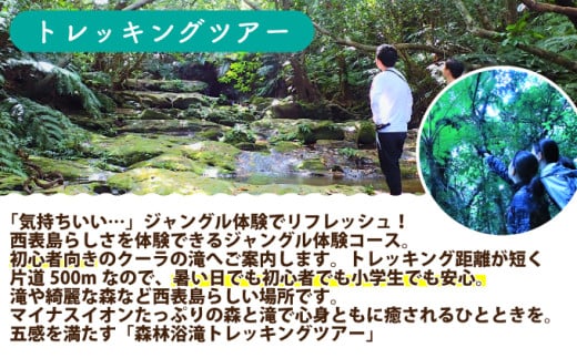西表島 半日森林浴滝トレッキングツアー【体験可能期間:11月1日～4月30日】大人1名分【 旅行 体験チケット 西表島ツアー 大自然 体験ツアー 観光 沖縄 森林浴 滝 トレッキング アクティビティ】