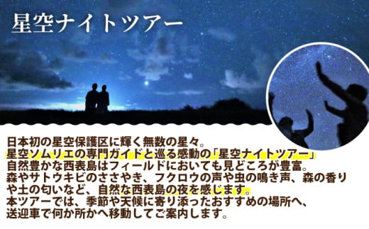 西衚島 æç©ºãã€ããã¢ãŒ(忥) å°äºº1ååã æ
è¡ äœéšãã±ãã 西衚島ãã¢ãŒ 倧èªç¶ äœéšãã¢ãŒ 芳å
æ²çž æç©º ãã€ããã¢ãŒ ã¢ã¯ãã£ããã£ã