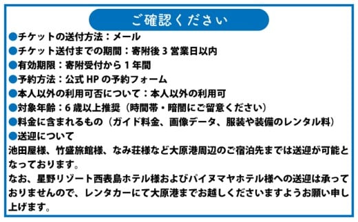 西表島 星空ナイトツアー(半日) 大人1名分【 旅行 体験チケット 西表島ツアー 大自然 体験ツアー 観光 沖縄 星空 ナイトツアー アクティビティ】
