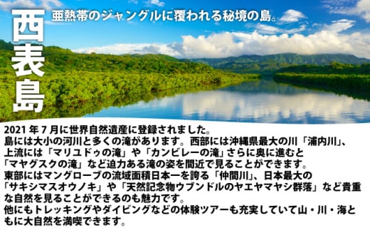 西衚島 æç©ºãã€ããã¢ãŒ(忥) 倧人1ååã æ
è¡ äœéšãã±ãã 西衚島ãã¢ãŒ 倧èªç¶ äœéšãã¢ãŒ 芳å
æ²çž æç©º ãã€ããã¢ãŒ ã¢ã¯ãã£ããã£ã