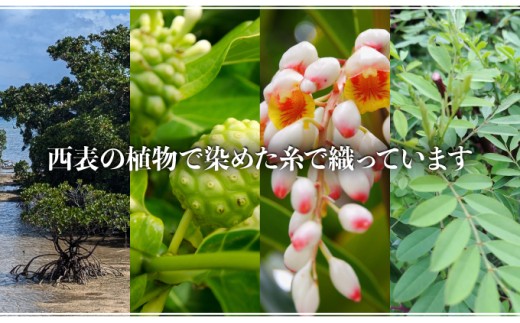 コースター 2枚組【 コースター 西表島 ミンサー ミンサー織り 】