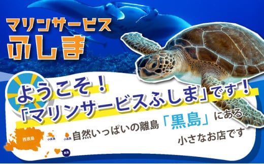 「マリンサービスふしま」で使えるクーポン券 10,000円分