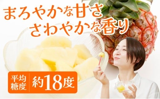 《2026年 先行予約》ピーチパイン 約15kg 15～24玉 農園ファイミール 完熟 果物 フルーツ