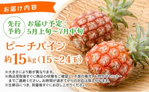 《2026年 先行予約》ピーチパイン 約15kg 15～24玉 農園ファイミール 完熟 果物 フルーツ