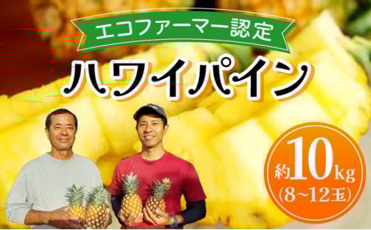 《2026年先行予約》ハワイパイン約10kg 【お届け：2026年6月中旬～7月下旬】【農園ファイミール 完熟 果物 フルーツ パイン パイナップル】