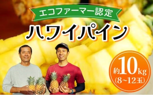 《2026年先行予約》ハワイパイン約10kg
