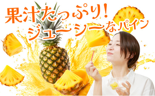 《2026年先行予約》ハワイパイン約10kg 【お届け：2026年6月中旬～7月下旬】【農園ファイミール 完熟 果物 フルーツ パイン パイナップル】