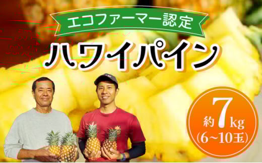 《2026年先行予約》ハワイパイン約7kg 【お届け：2026年6月中旬～7月下旬】【農園ファイミール 完熟 果物 フルーツ パイン パイナップル】