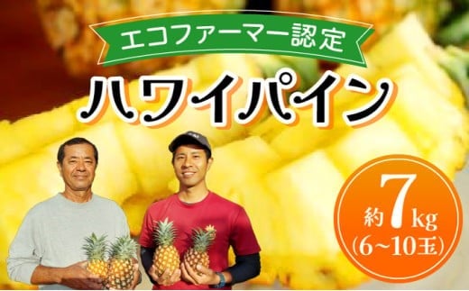 《2026年先行予約》ハワイパイン約7kg