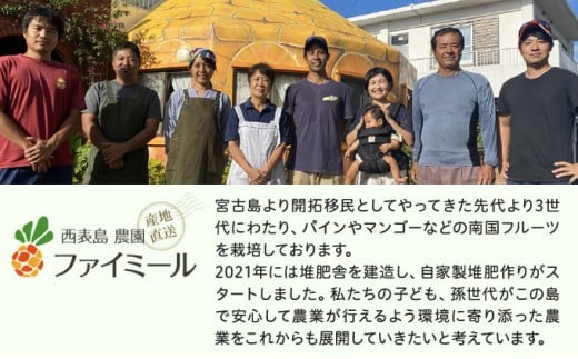 《2026年先行予約》ハワイパイン約7kg 