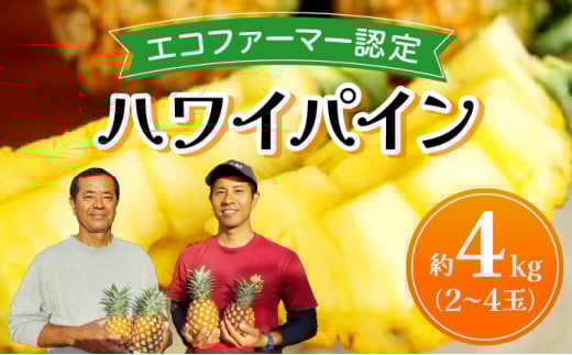 《2026年先行予約》ハワイパイン約4kg 【お届け：2026年6月中旬～7月下旬】【農園ファイミール 完熟 果物 フルーツ パイン パイナップル】