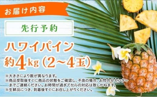 《2026年先行予約》ハワイパイン約4kg 