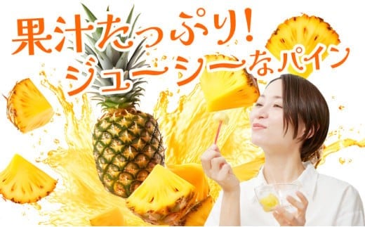《2026年先行予約》ハワイパイン約4kg 