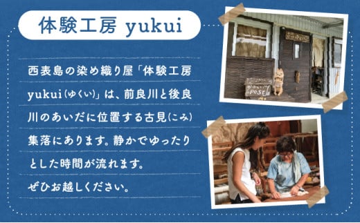 西表島のマングローブ海染め体験　Tシャツ作りコース（約2時間）