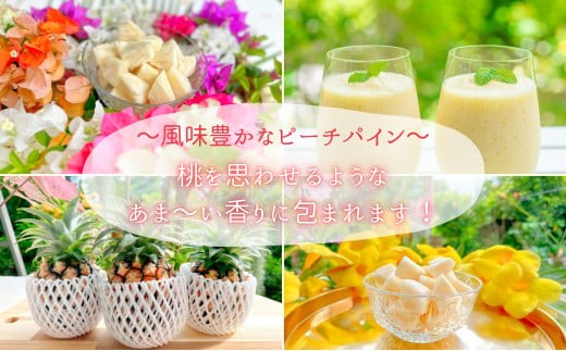 ☆新感覚の味わい☆桃のような芳醇な香りのする　『西表島産完熟ピーチパイン』 約4kg（6～7個入）