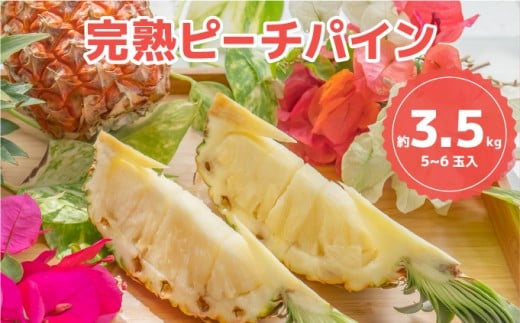 ☆新感覚の味わい☆桃のような芳醇な香りのする　『西表島産完熟ピーチパイン』 約3.5kg（5～6個入）