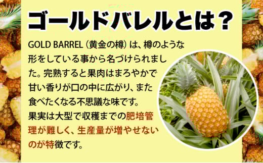 ã2026幎çºéããŽãŒã«ããã¬ã«ãã£ã·ãå°çã»ãã