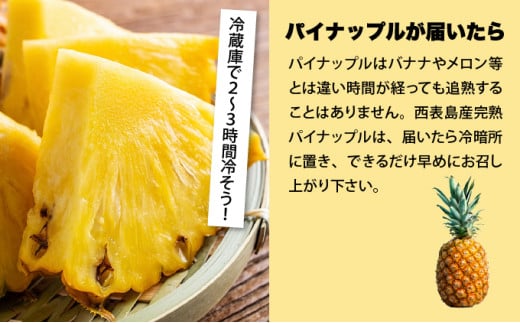 ã2026幎çºéããŽãŒã«ããã¬ã«ãã£ã·ãå°çã»ãã