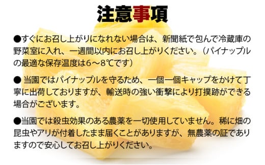 ã2026幎çºéããŽãŒã«ããã¬ã«ãã£ã·ãå°çã»ãã