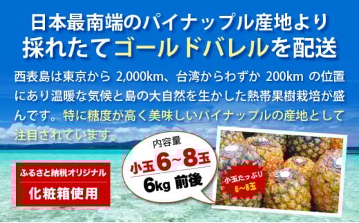 ã2026幎çºéããŽãŒã«ããã¬ã«ãã£ã·ãå°çã»ãã