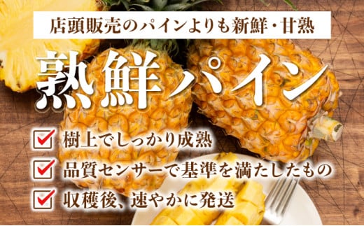 ãæã§ã¡ãã£ãŠé£ã¹ã楜ãããçé®®ã¹ããã¯ãã€ã³2kgïŒ2ïœ3çïŒ2026幎 å
è¡äºçŽãæ²çžã西衚島