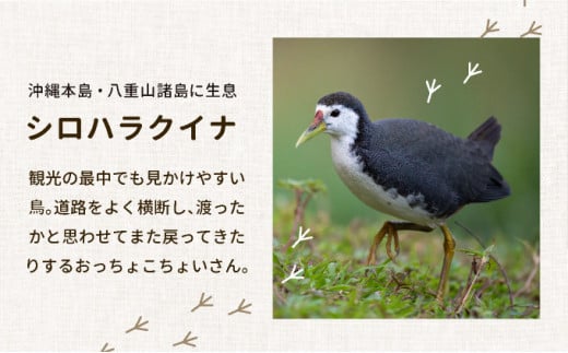 ビームパリ窯　シロハラクイナシリーズ　湯呑（そば猪口）黒