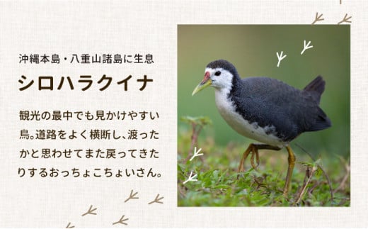 ビームパリ窯　シロハラクイナシリーズ　お茶碗