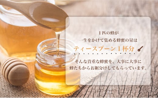 Sunshine Honey Iriomoteシ医し繝ウ繧キ繝」繧、繝ウ繝上ル繝シ隘ソ陦ィシ