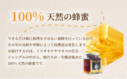 Sunshine Honey Iriomoteシ医し繝ウ繧キ繝」繧、繝ウ繝上ル繝シ隘ソ陦ィシ