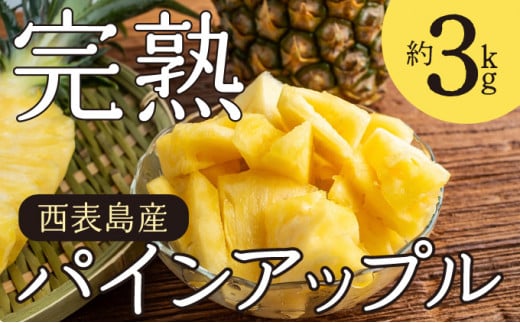 2026年 先行予約 完熟 パインアップル 約3kg 水鴨農園 パイン パイナップル 果物 フルーツ