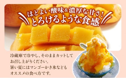 ãèš³ããã ã¢ããã«ãã³ãŽãŒ çŽ1kg (æ œå¹æéäž æžèŸ²è¬æ œå¹)ã2026幎6æäžæ¬ä»¥éé æ¬¡çºéãã¢ããã¹èŸ²å å®ç ãã³ãŽãŒ æç© ãã«ãŒã