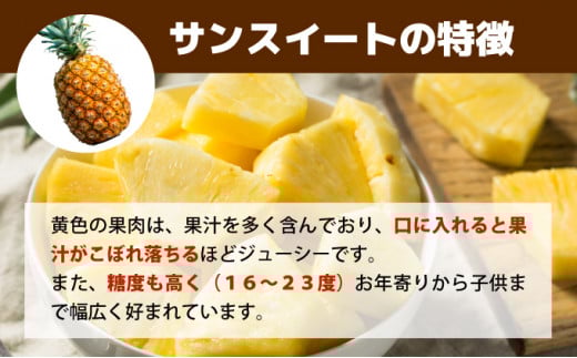 【2026年5月～7月（全3回発送）】南国の美味しさを！パイナップル 定期便 B