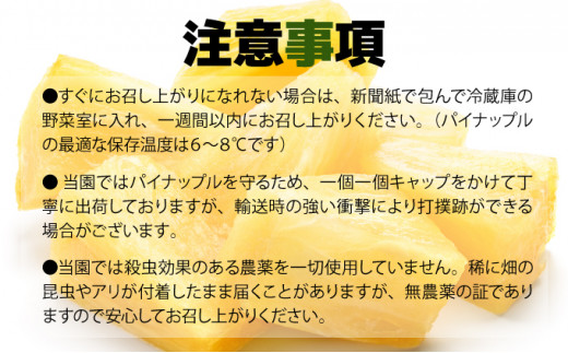 【2026年5月～7月（全3回発送）】南国の美味しさを！パイナップル 定期便 B