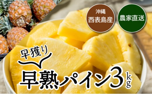 【2026年発送】南国の香り！ 早穫り完熟パイン