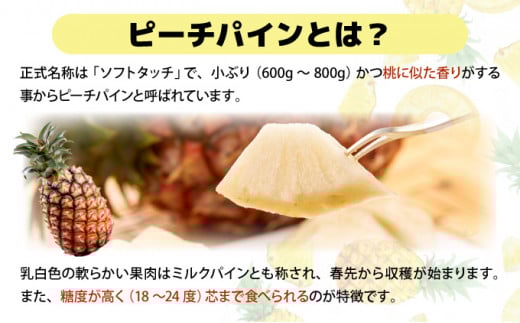 【2026年発送】リピータ続出！西表パイン園の蜜入り ピーチパイン 2kgセット