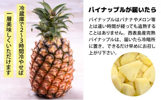 【2026年発送】リピータ続出！西表パイン園の蜜入り ピーチパイン4kgセット