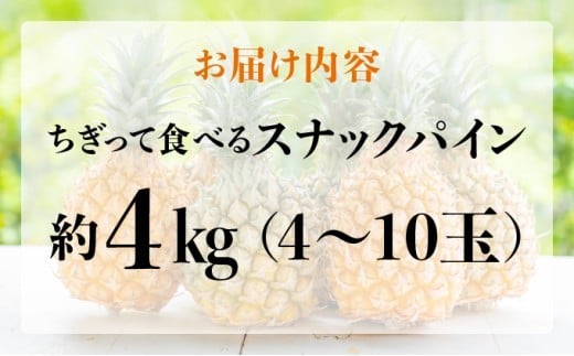知名度NO.1！糖度が高く真っ黄色な新感覚パイン☆　ちぎって食べるスナックパイン4kg（4～10玉）