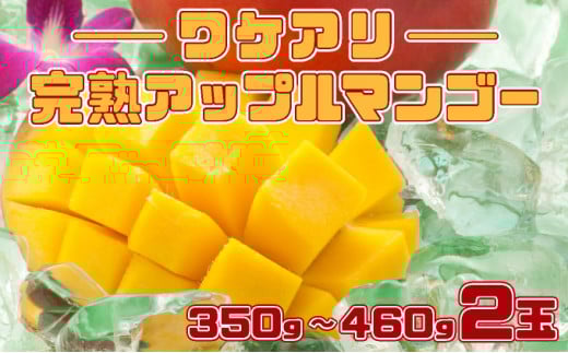 ＜2026年 先行予約＞訳あり 完熟 アップルマンゴー 2L 350g～460g 2玉 マンゴー 果物 デザート 品評会連続入賞 2026年 発送 ますみ農園