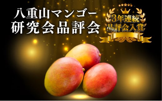＜2026年 先行予約＞訳あり 完熟 アップルマンゴー 2L 350g～460g 2玉 マンゴー 果物 デザート 品評会連続入賞 2026年 発送 ますみ農園